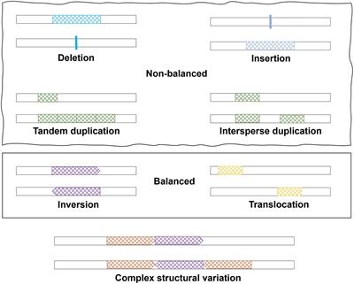 The role of structural variations in Alzheimer’s disease and other neurodegenerative diseases